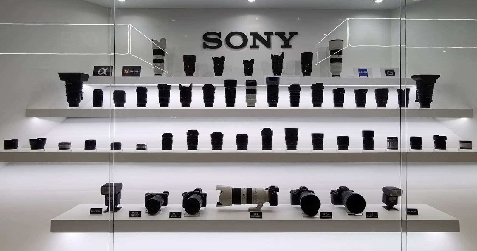 Sony.jpg