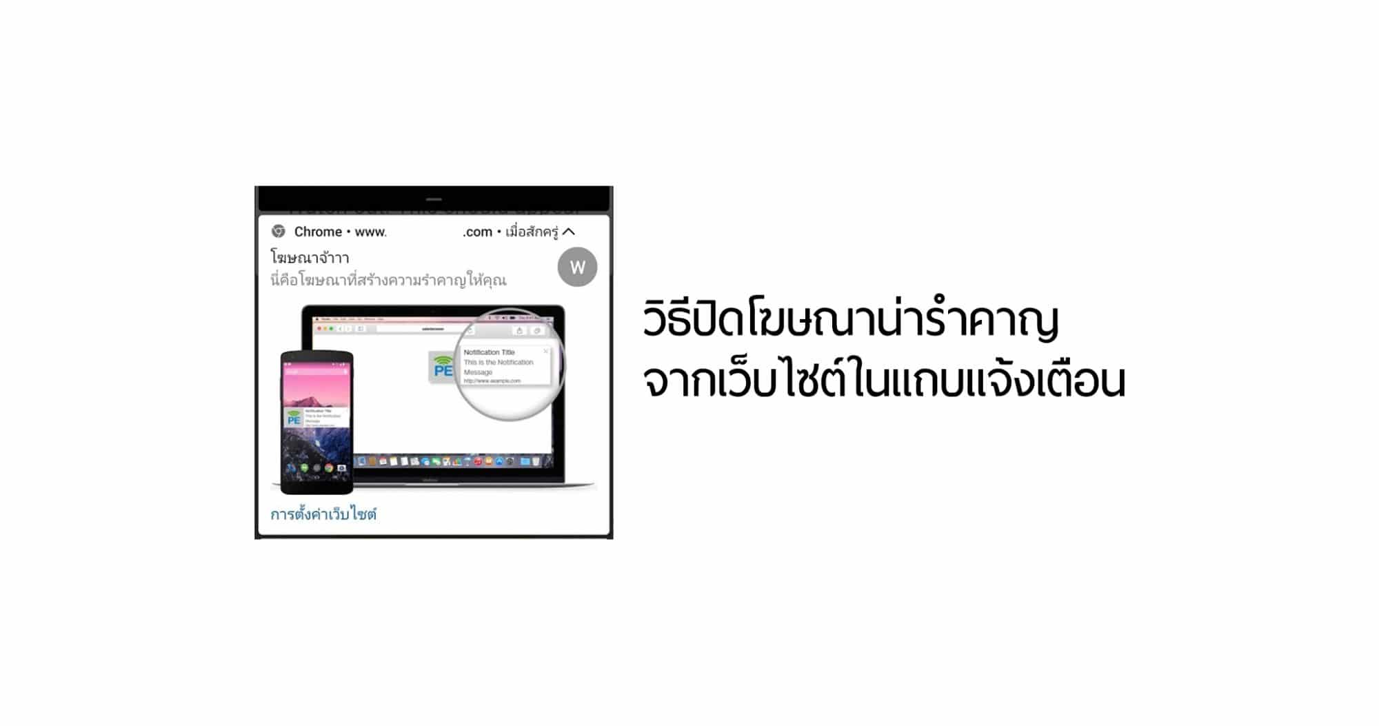 BACcover