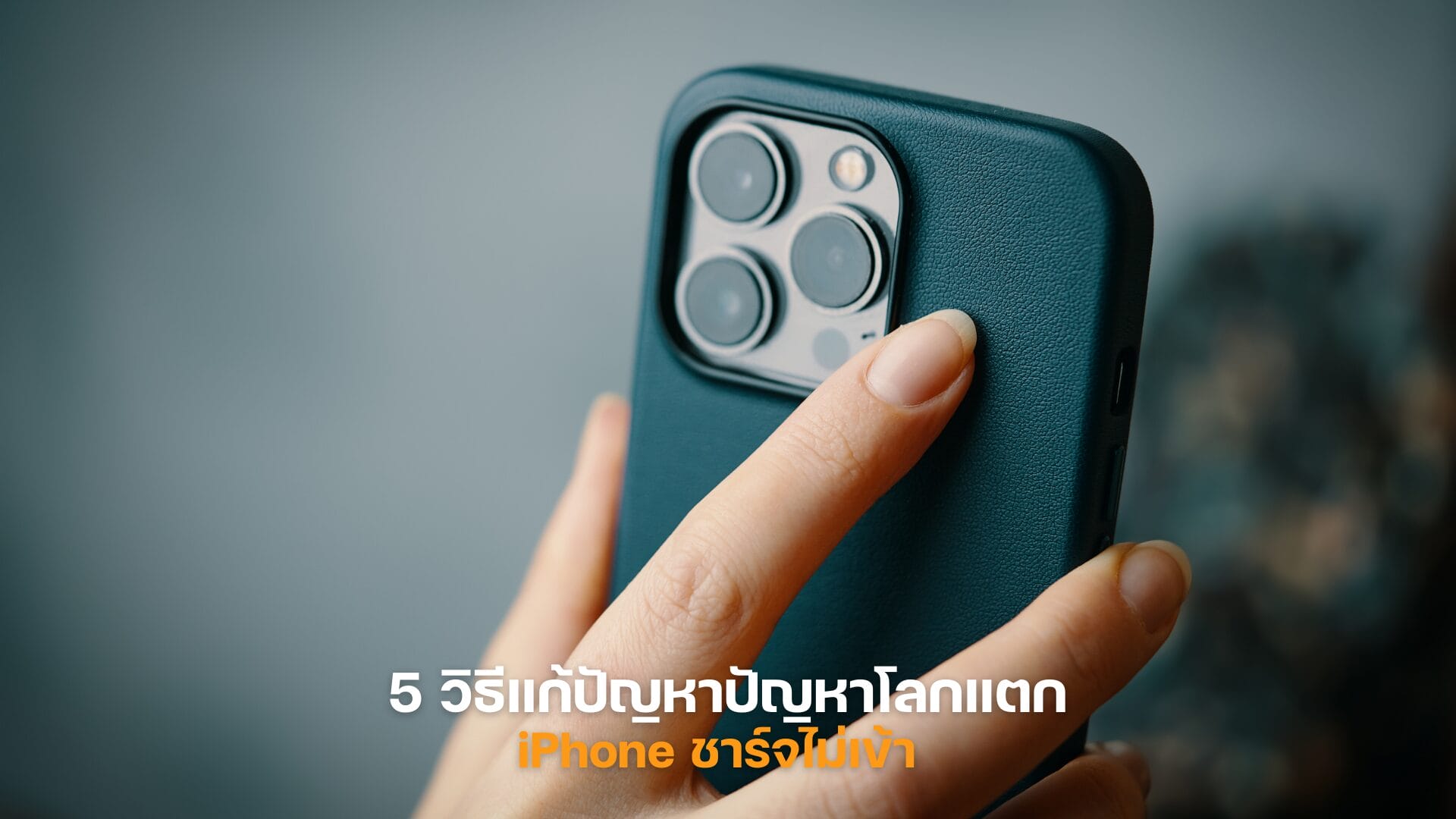 Reiboot feb article